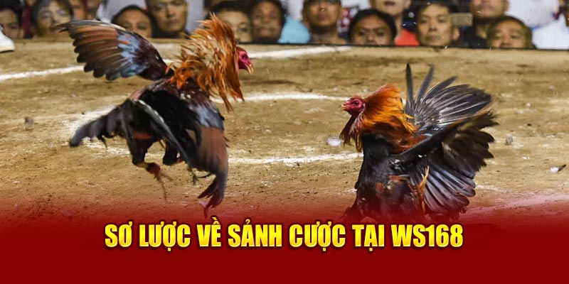 Sơ lược về sảnh cược tại WS168